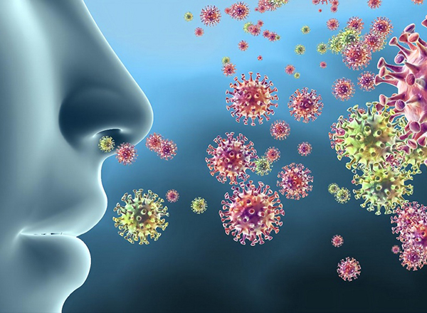 1632275927686521.jpg 传染病.jpg