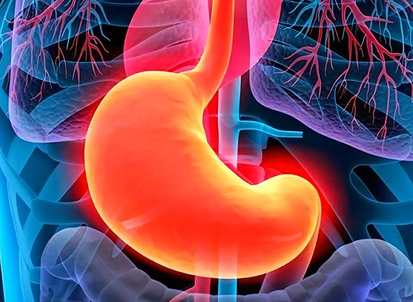 1632300661442529.jpg 胃炎.jpg